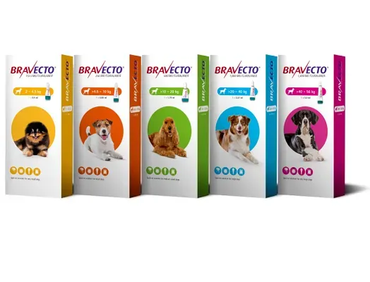 Bravecto Topical Solution for Dogs (1 Applicator)