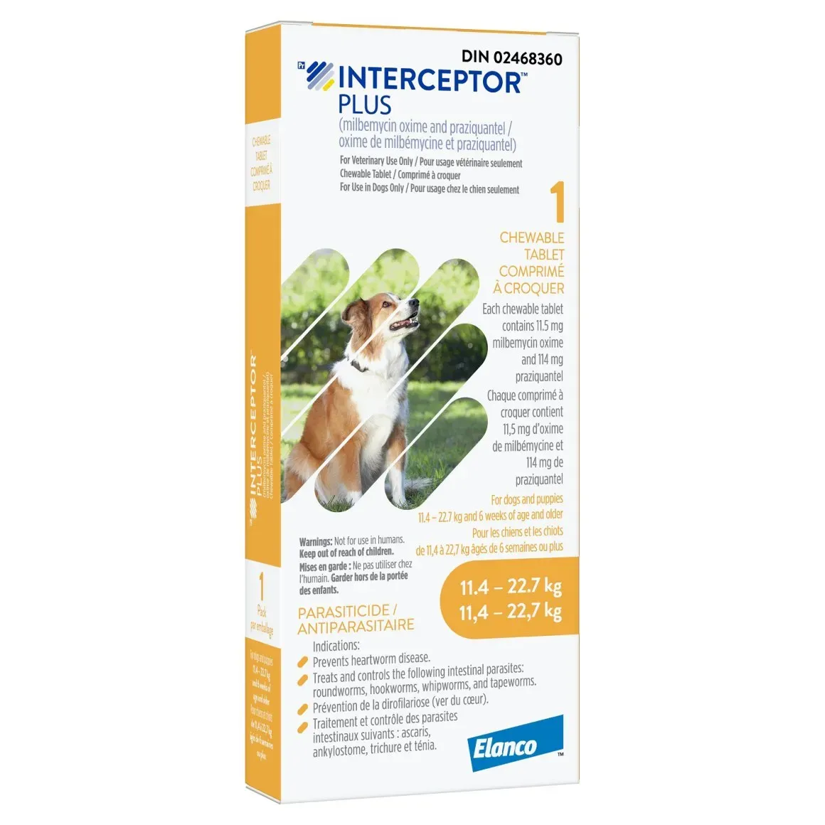 Interceptor Plus