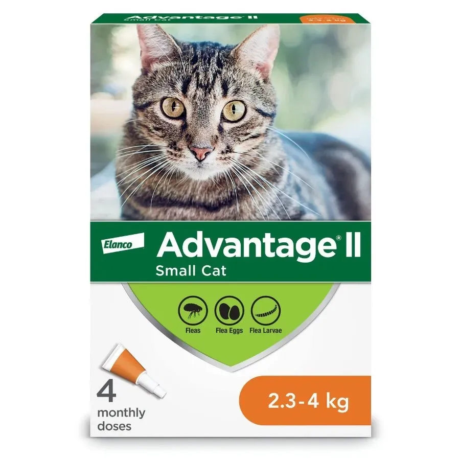 Advantage II for cats
