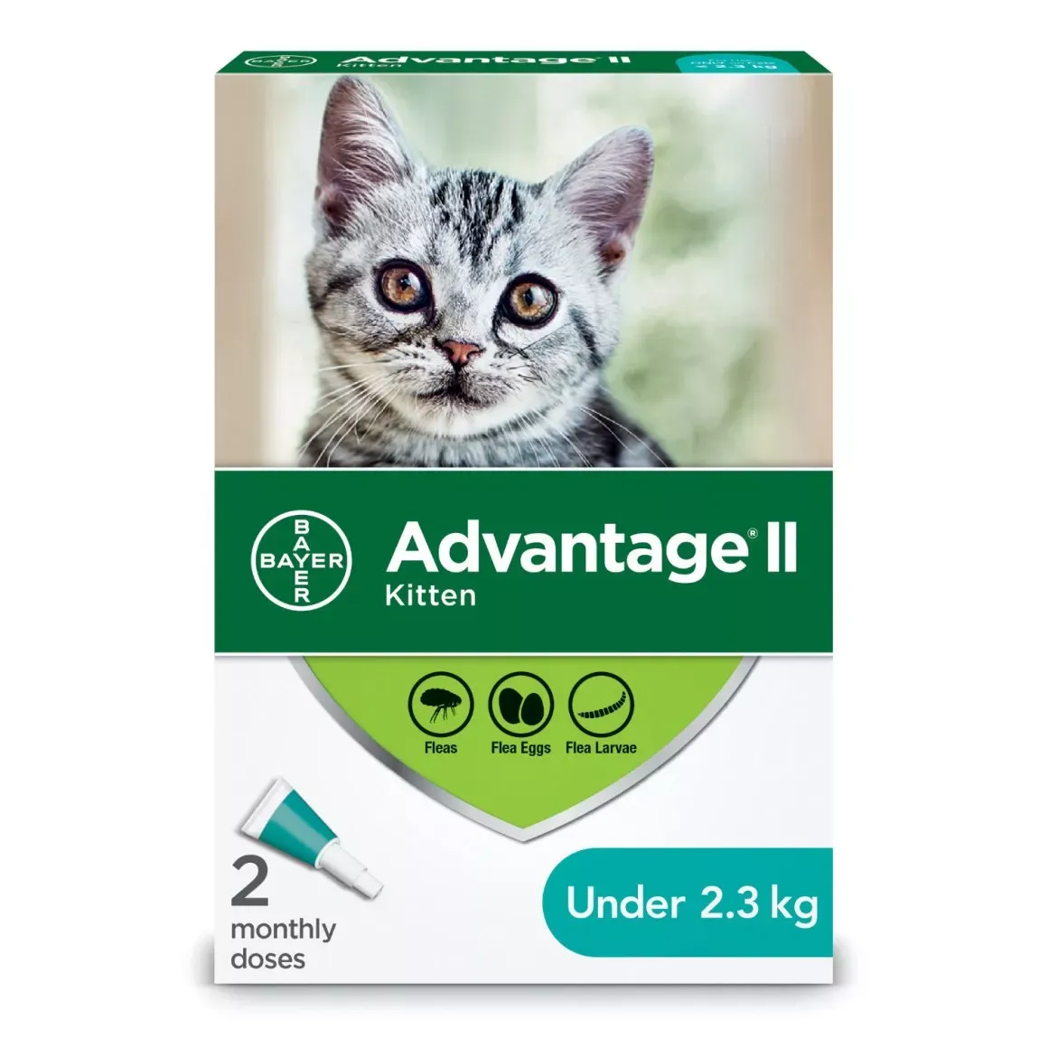 Advantage II for Cats