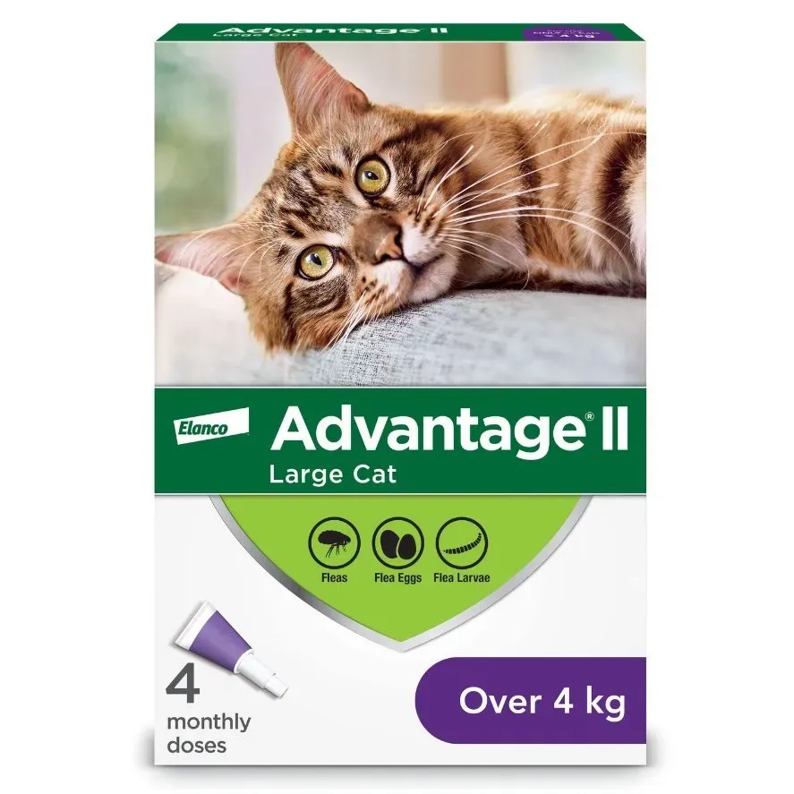 Advantage II for cats