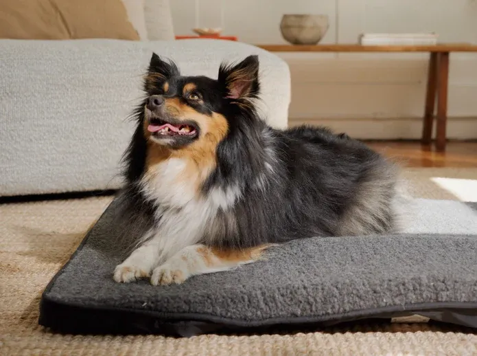 Thermotex Far Infrared Heating Pet Pad