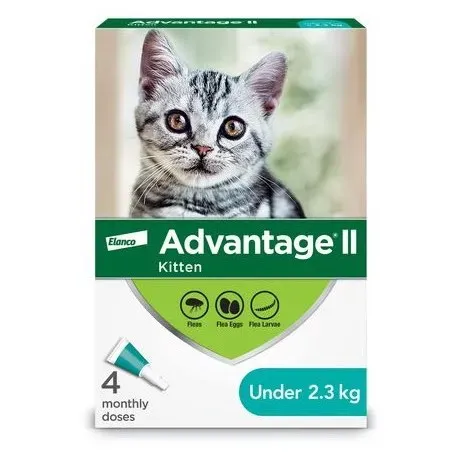 Advantage II for Cats