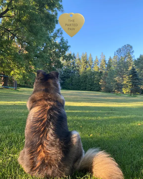 Dog with a Parted Paw tag