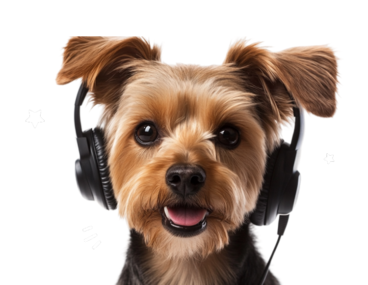 Contact Furble